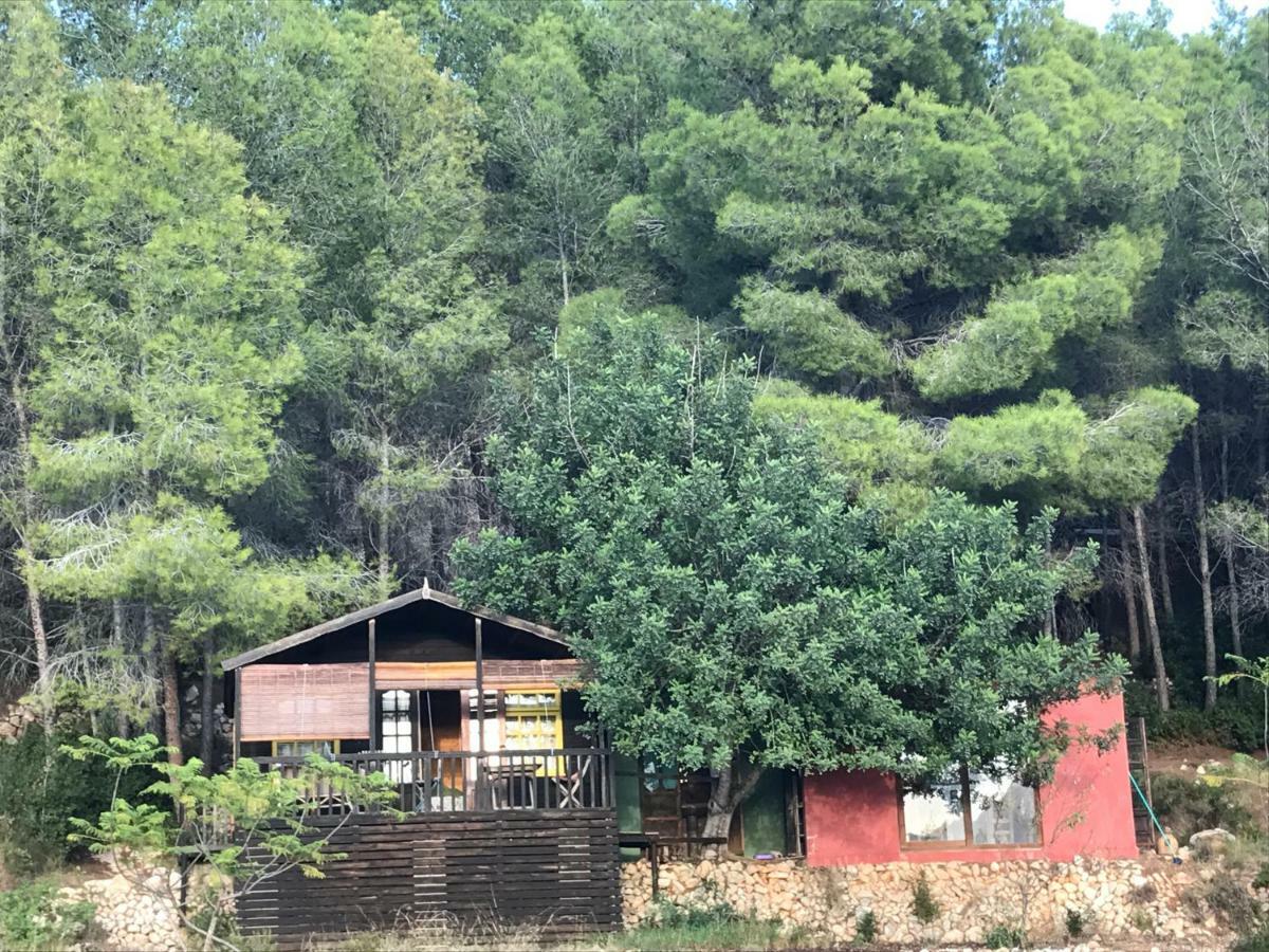 Casa Del Paso Villa Bolulla Екстериор снимка